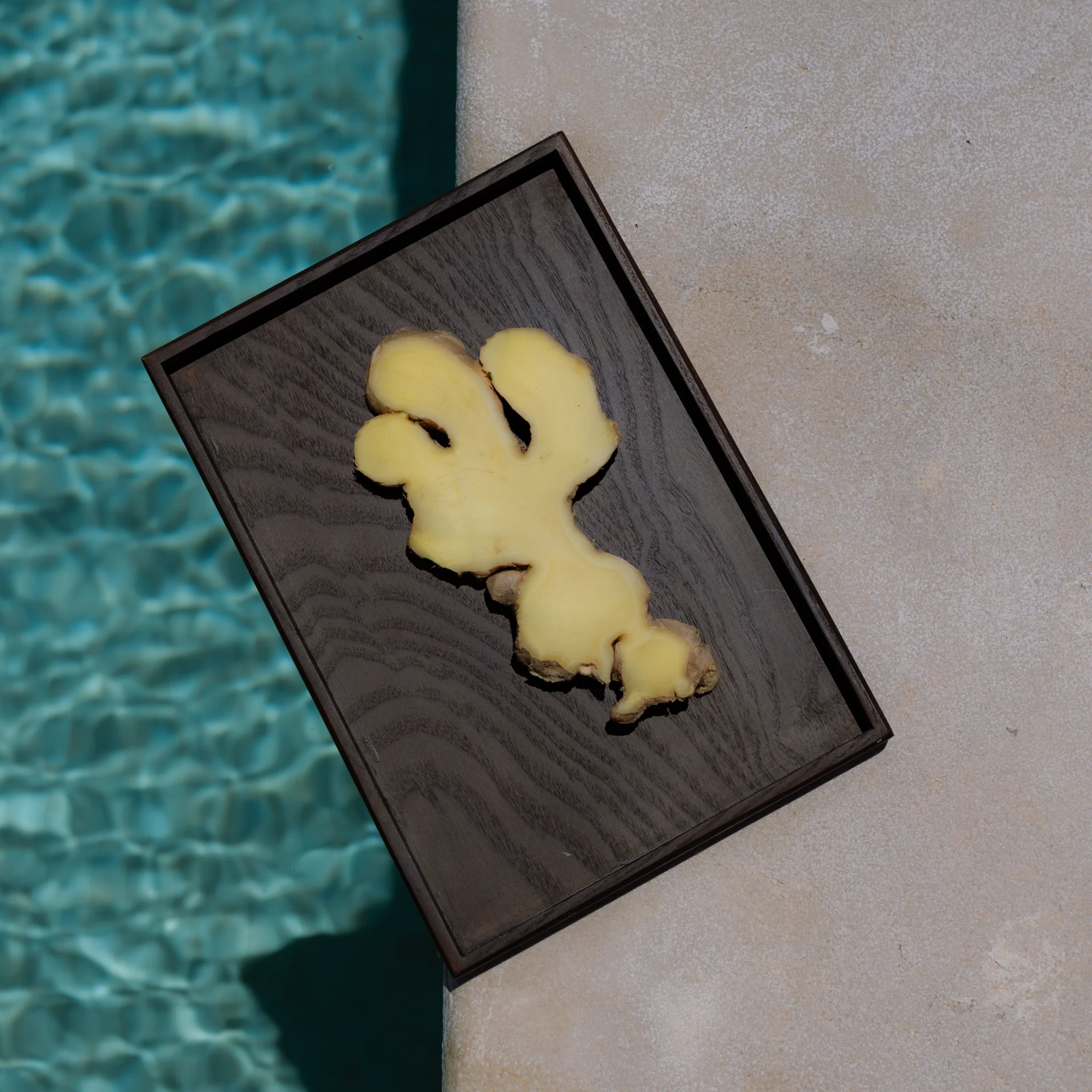 LYORA Ammos - Image 7