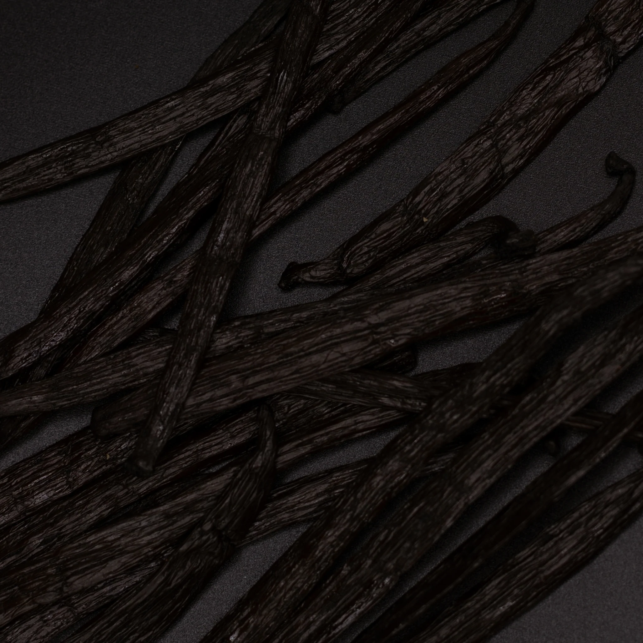 LYORA Vanilla Oud Refill - Image 7