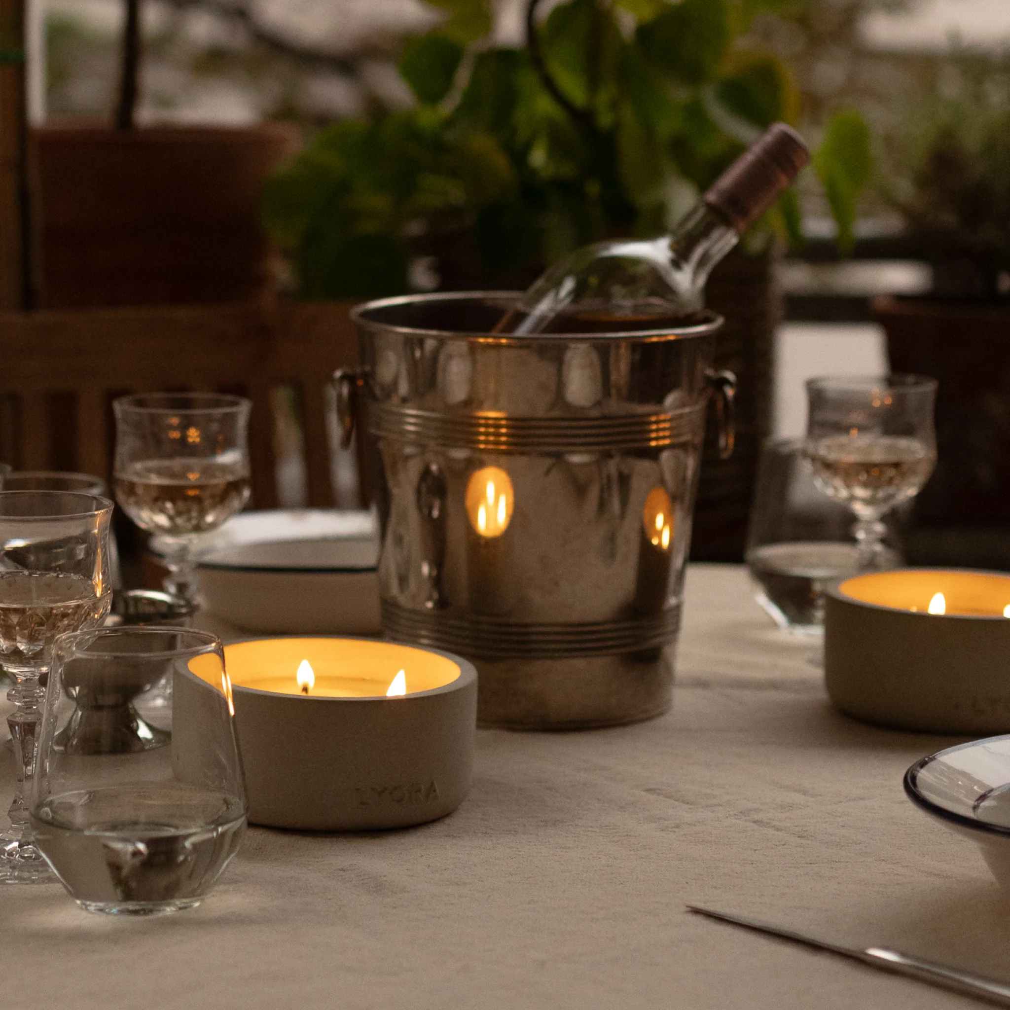 LYORA Mediterranean Fig Refill - Image 3